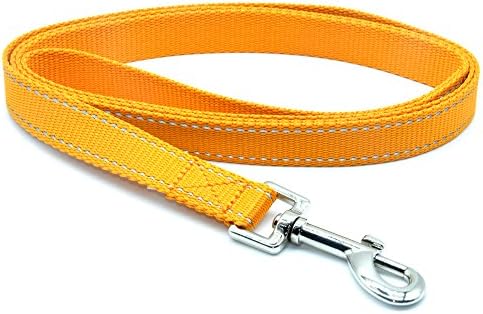 Enthun Water Repellent Dog Leash,3M Reflective Pet Leash for Puppy Pet, 4-ft and 5-ft Long (Small, Orange)
