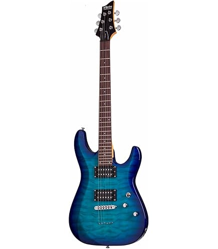 Amazon.com: Schecter Hellraiser C-1 - Black Cherry : Musical