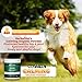 Herbal Vet Dog Calming Powder For Stress & Anxiety Relief Infused with Hemp Oil Extract - For Large Dogs(10 OZ) -Certified Organic By ECO - Made In USA In a Human Grade Facility (10 OZ for large dogs)