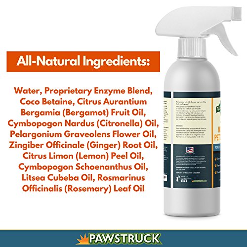 NoRinse Dry Dog Shampoo for Dogs, Puppies, & Other Pets (16 fl oz