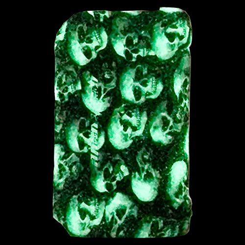 RUIYITECH Modshield for Aegis Legend 2 Case - Protective Silicone Skin Cover Sleeves - Aegis L200 KIT (Skull Black)