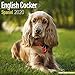 English Cocker Spaniel Calendar - Dog Breed Calendars - 2019 - 2020 Wall Calendars - 16 Month by Avo by 