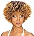 Zury Sis Afro Natural Wig H Bantu (1B)