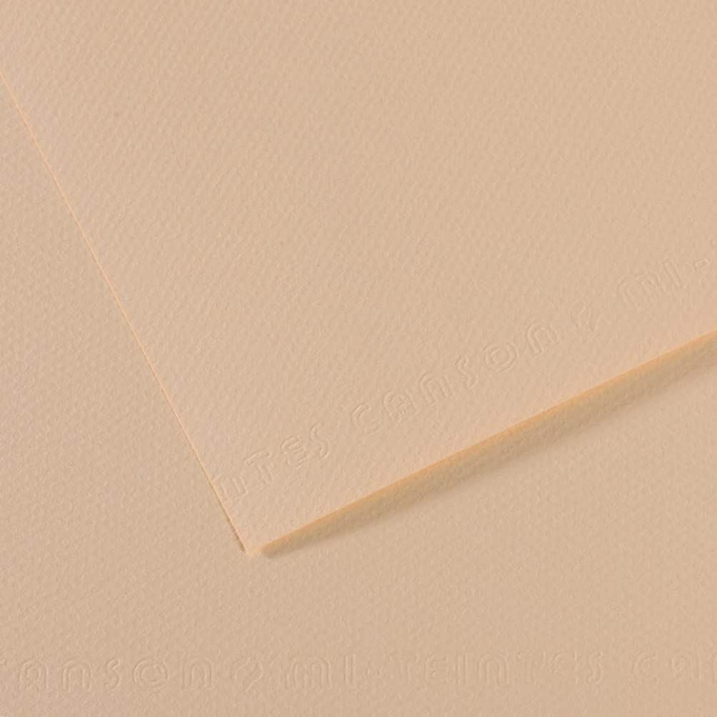 Canson Pack of 25 Sheets 21 x 29.7 Mi-Teintes 60% Bee 160 g (112), Sand Colour, 21x29,12