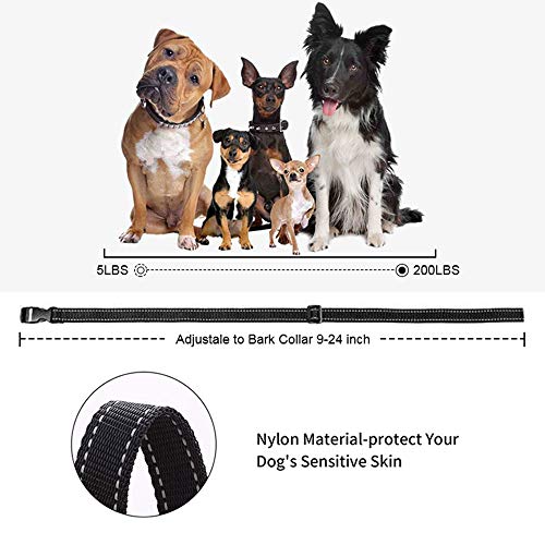 tokego dog training collar