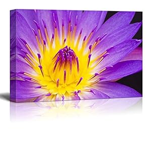 Canvas Prints Wall Art - Beautiful Flower/Floral Art Water Lily | Modern Wall Decor/Home Decoration Stretched Gallery Canvas Wrap Giclee Print & Ready to Hang - 12" x 18"