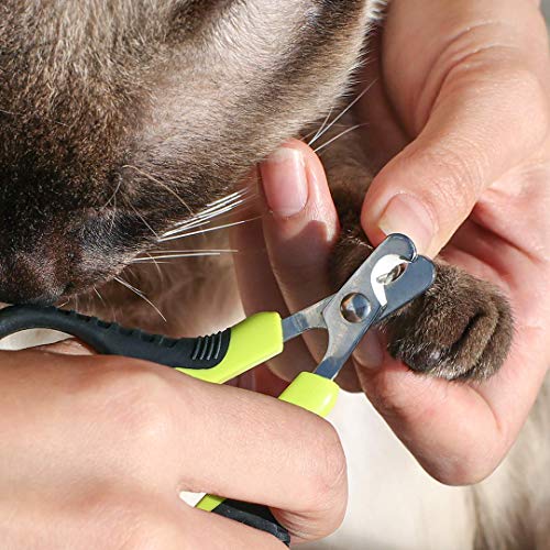 Dog Nail Clippers & Claw Trimmer with Non Slip Handle - Professional Grooming Tools for Nail Clippers for Small Dogs