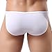 Sunward Men Ultra-Thin Breathable Briefs Sexy Underwear (L, White)