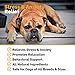 POINTPET Natural Stress and Anxiety Relief for Dogs, Soft Chewable Calming Aid - Helps with Separation Anxiety, Travel and Motion Sickness, Storms, Fireworks - Dog Anxiety Supplement, 60 Soft Chews