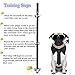 SEGMINISMART Dog Bells for Potty Training, PowPetie Dog Bell Training Your Puppy The Easy Way - 5 Extra Large Loud 1.4 Bell, Black Nylon, Adjustable Length for Small, Medium and Large Dogs