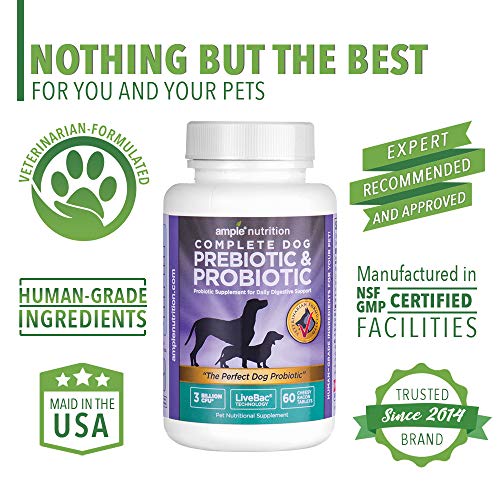 Ample Nutrition Complete Dog Prebiotic + Probiotic for Dogs, 60ct