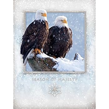 Amazon.com : National Geographic Giraffe Christmas Cards-- 18 Cnt