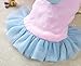 Puppy Clothes,Haoricu Chiens Velvet Dog Dress Pet Clothes Clothing Small Puppy winter warm Custome (S, Pink)