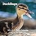 Ducklings 8.5 X 8.5 Calendar September 2019 -December 2020: Monthly Calendar with U.S./UK/ Canadian/ by Dazzle Book Press