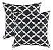TreeWool Trellis Accent Spring Summer 18x18 Set of 2 Decorative Throw Pillow Covers 100% Cotton Home Decor Pillowcases for Sofa Couch (Black)