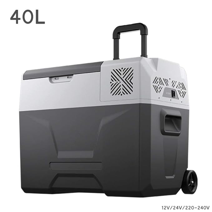 WJSW Compresor Cool Box Camping Nevera Camión 24V / 12V / 220-240V ...