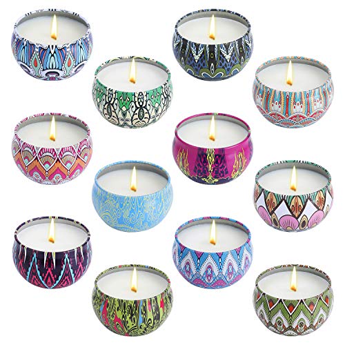 YYHC Aromatherapy Scented Candles Essential Oils Natural Soy Wax Portable Travel Tin Candle Set of 12 Gift 2.5 Ounce tins 240 Hour Burn Long Lasting