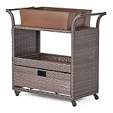 Christopher Knight Home Ravenna Barcart, Multibrown