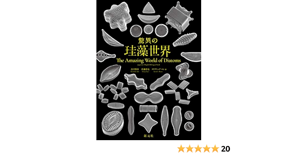 驚異の珪藻世界 The Amazing World Of Diatoms Amazon Com Books