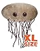 GIANTmicrobes - E. Coli (Escherichia Coli) XL Size