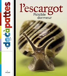 L' escargot