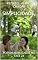 Livro SIMPLICIDADE,: POESIAS PUBLICADAS NO FACE 24