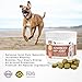 PointPet Advanced Glucosamine Hip and Joint Supplement for Dogs, 90 Count - Soft Chews - Dog Joint Health Chews - Chews with Chondroitin Turmeric, Omega 3