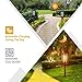 Cinoton Solar Light,Path Torches Dancing Flame Lighting 96 LED Dusk to Dawn Flickering Torches Outdoor Waterproof garden decorations (2)