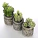 MyGift Set of 3 Realistic Artificial Green Succulent Plants in Rustic Gray Round Mason Jar Style Planter Pots