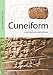 Cuneiform: Ancient Scripts