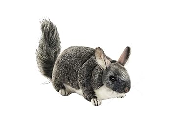 peluche de chinchilla