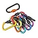 D-FantiX Aluminum Carabiner Keychain, Locking Carabiner Clip Outdoor Camping Equipment Pack of 10