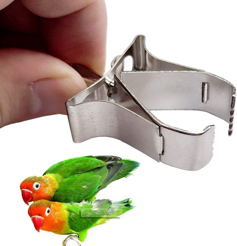 RORORO 3 Pcs Birds Food Holder Pet Parrot Feeding Fruit