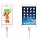 Aonear Lightning Cable 2Pack 6Ft 10Ft 8Pin Rose Gold iPhone Charging Cable USB Data Cable for iPhone 6/6s/6 Plus/5/5c/5s