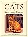 The Cats Of Sanctuary House by