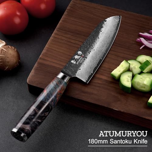 Japanese Chef Knife with VG10 Core, 7'' Razor Sharp Hand Forged Damascus Santoku Knife for Home & Professional Chefs, Kitchen Knives with Leather Sheath & Gift Box, Fathers Day Gift for Dad Husband