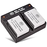 BM Premium 2-Pack of LP-E8, LPE8 Batteries and Dual Battery Charger Kit for Canon EOS Rebel T2i, T3i, T4i, T5i, EOS 550D, EOS 600D, EOS 650D, EOS 700D DSLR Digital Camera
