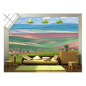 Painting Style of Chinese Landscape for Adv or Others Purpose Use - Removable Wall Mural | Self-Adhesive Large Wallpaper - 66x96 inches