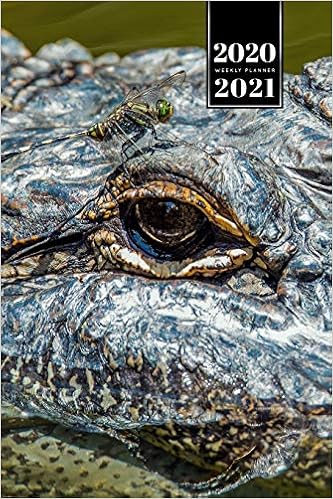 ensacar du jour croc