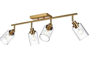 Wanluce 4-Light Gold Track Lighting Kits, Multi-Directional Rotating Kitchen Ceiling Tracking Light Fixture with Clear Glass, Modern Bathroom Ceiling Vanity Track Lights for Kitchen Island Accent Shop