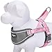 Blueberry Pet 8 Colors Soft & Comfy 3M Reflective Strips Padded Dog Harness Vest, Chest Girth 20.5