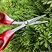 Zhang Xiao Quan 6 inch Garden Bonsai Pruning Shears Curved Blade with PTFE Coated for Cutting & Trimming Flowers Furits Vegetablesthumb 4