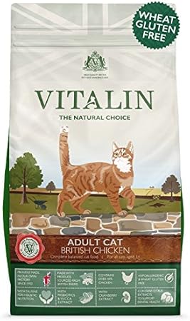 ham bones for dogs are they safe