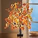 Collections Etc Lighted Tabletop Fall Maple Tree
