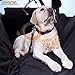 Pet Car Seat Covers for Dogs (1 x Universal Dog Seat Covers – 100% Waterproof) – Back Seat Cover for Pets - Improved Design Dogs Hammock - Pet Car Door Protector Side Flaps for Cars, Trucks and SUVs