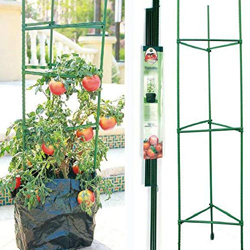 HDGZ 20er Pack Pflanzstäbe Rankstäbe Tomatenstäbe aus stabilem Kunststoffummantelten Metall, Rankhilfe für Tomaten… – Bild 3