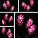 Samgo Outdoor Waterproof Solar Flower Battery Light Hyacinth for Garden, Balcony, Lawn Illumination (Pink)