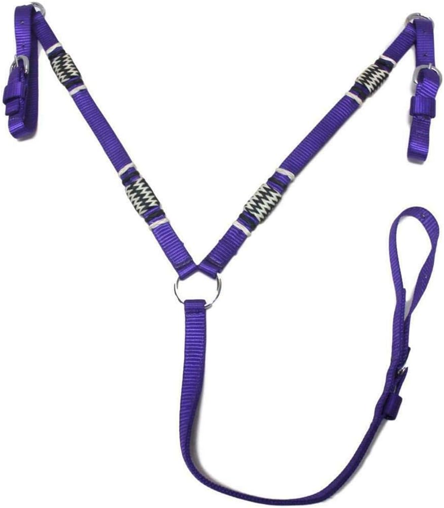 D.A Brand Deluxe Nylon Bridle/Breast Collar w/Braided Rawhide Trim