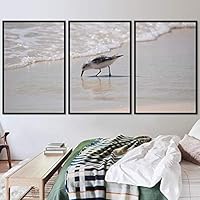 3 Piece Framed Canvas Wall Art Beach Birds Canvas Prints Home Artwork Decoration for Living Room,Bedroom - 16