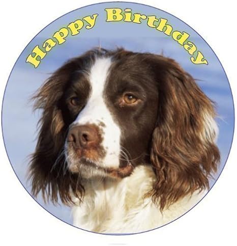 spaniel cake